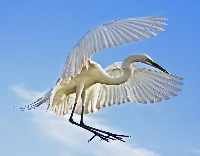 Soft Landing