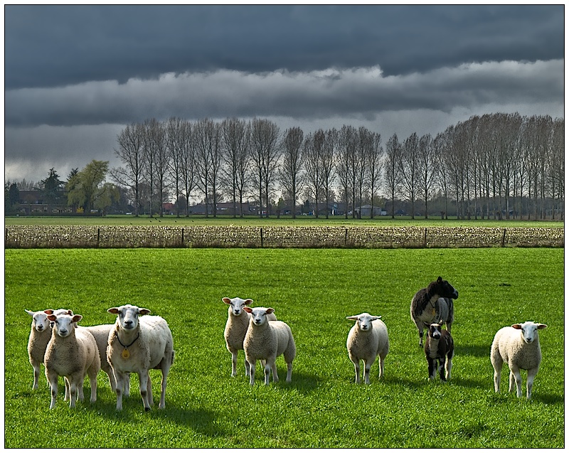 in the countryside