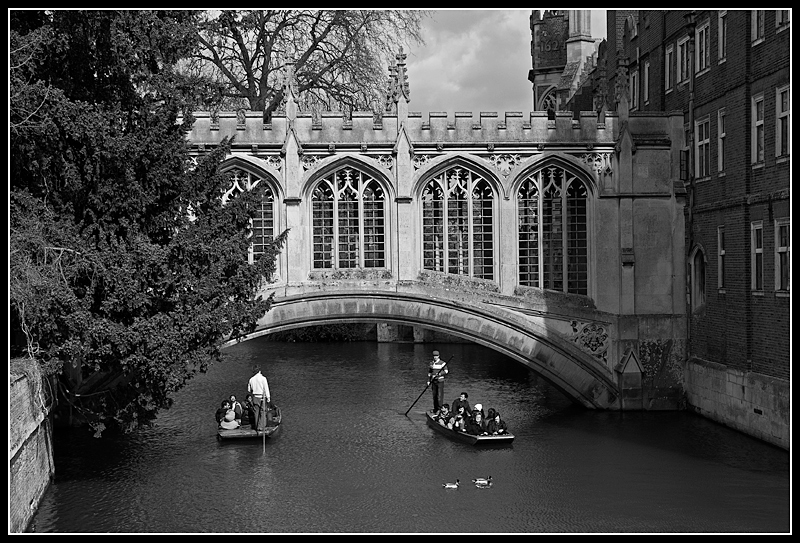 The Bridge of Sighs