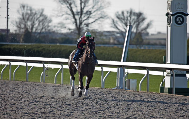 Keeneland , Lexington Kentucky 