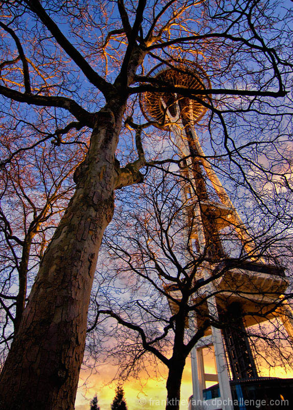 Sunset at the Needle