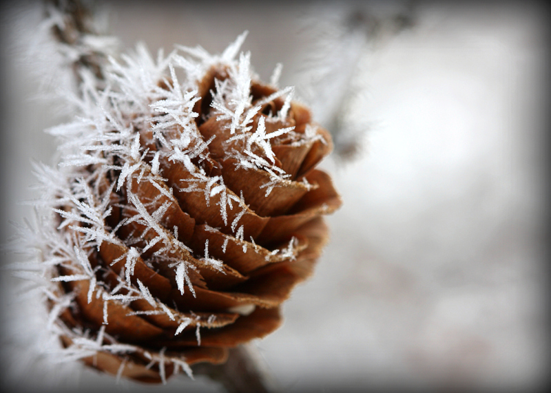 Still Winter...