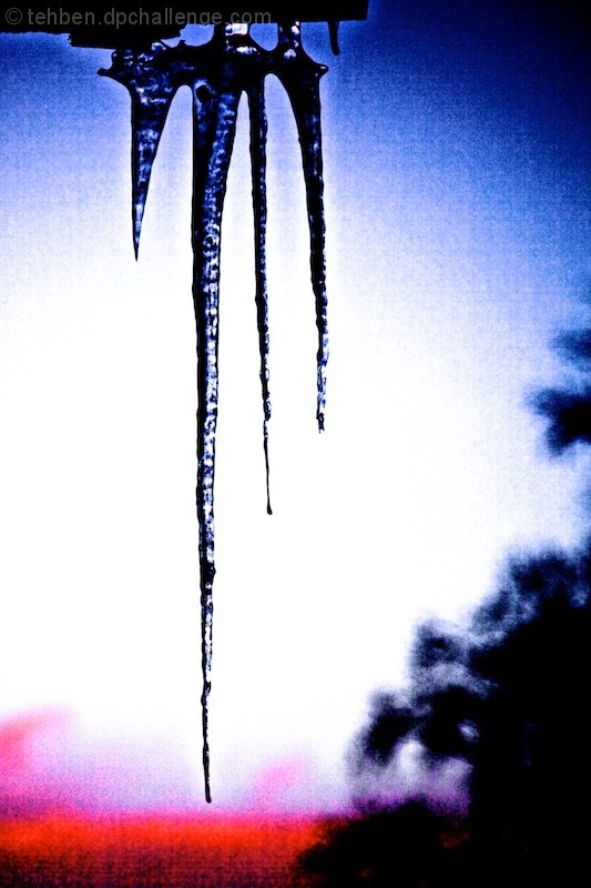 Branching Icicle