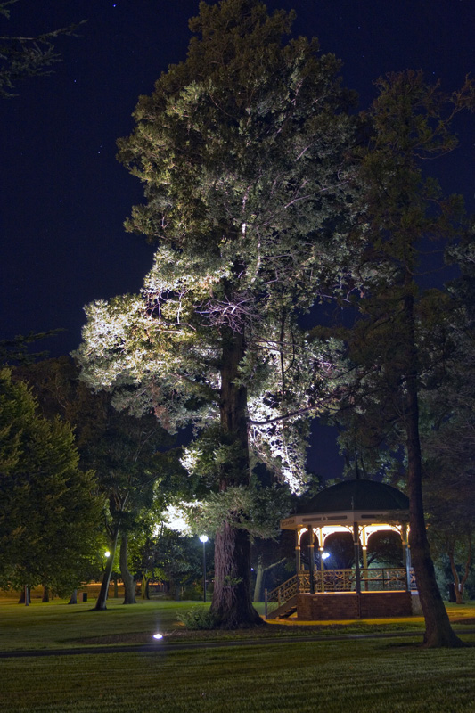 Night in the Park