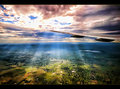 Touch The Sky