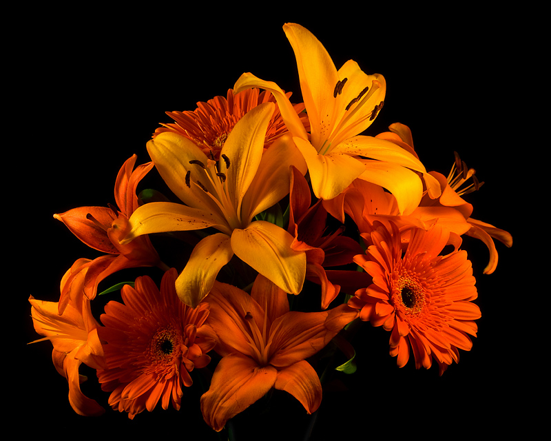 Lilies and Gerbera