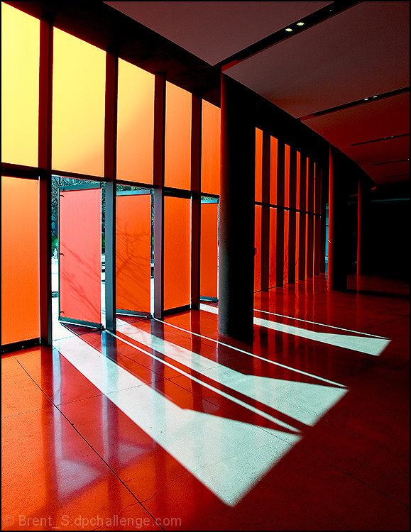 Walk Toward the Light