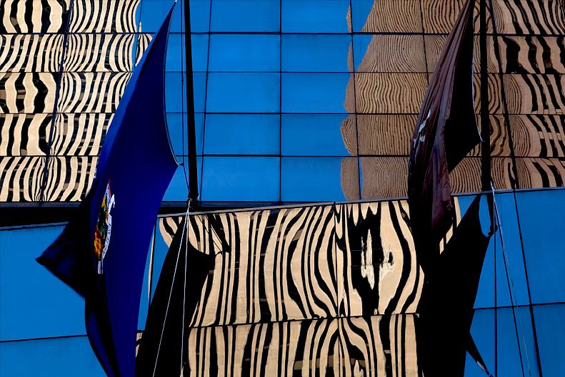 Blocks of Reflection