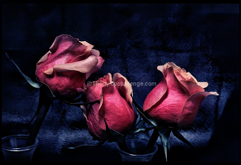 pink blush