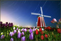 Star trails, windmill and tulips