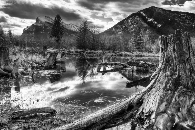 Vermilion Lakes in Spring