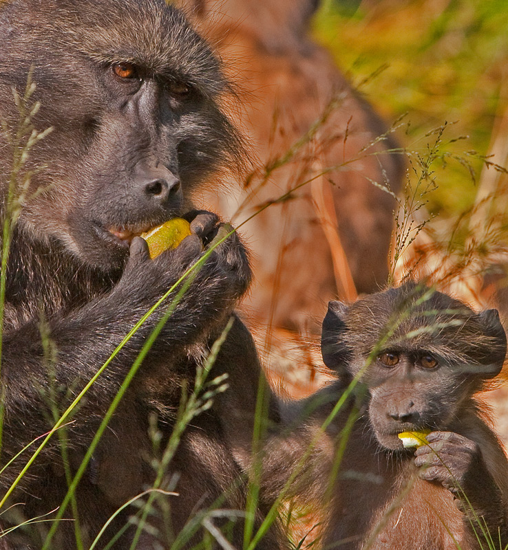 Mother & Son