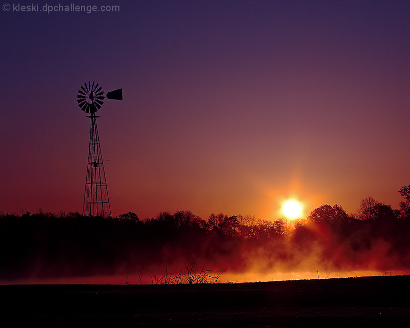 Farmer's Delight