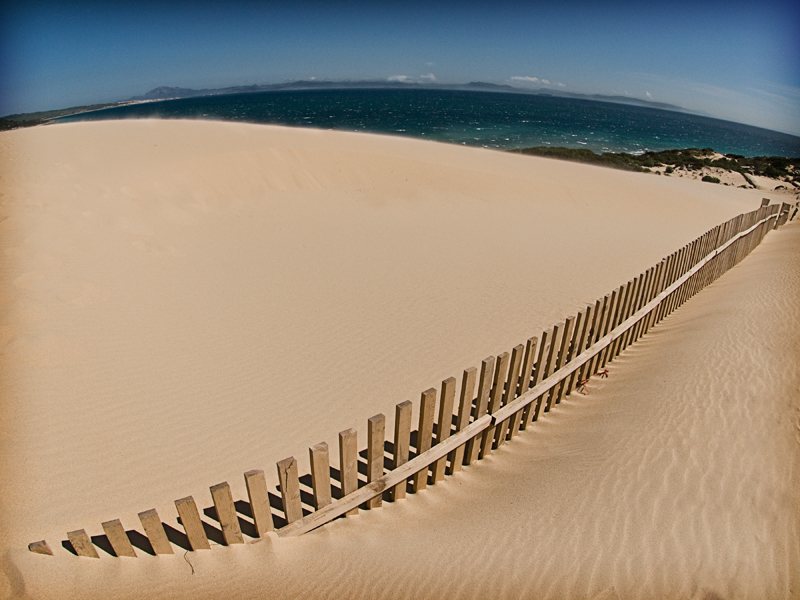 Backbone of the Beach