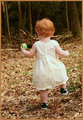 On The Trail Of Peter Cottontail