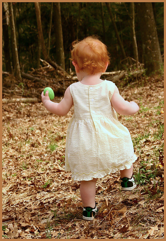 On The Trail Of Peter Cottontail