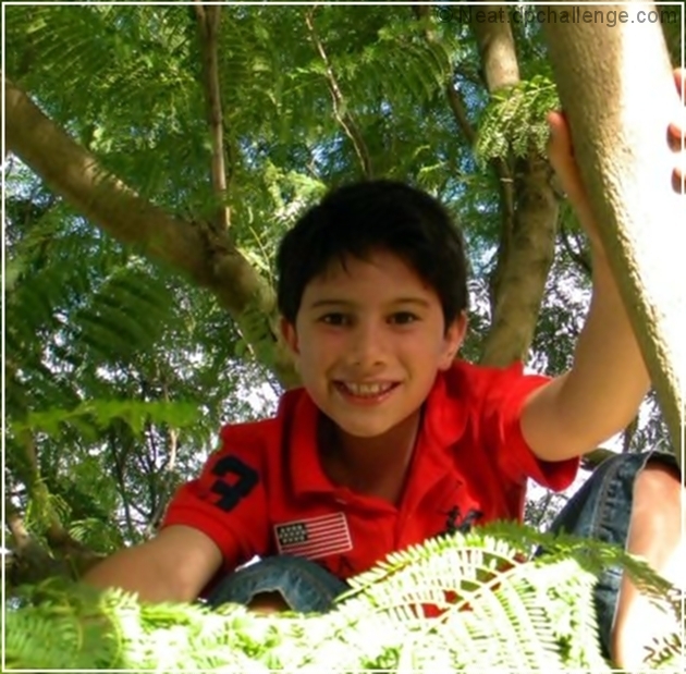 Boys love to climb trees