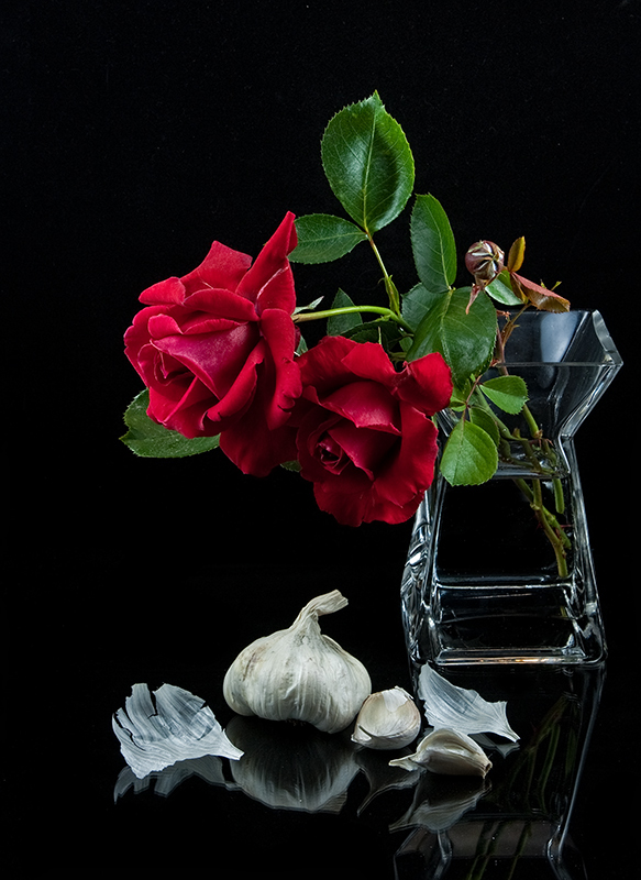 Red Roses and Stinking Roses (Garlic)