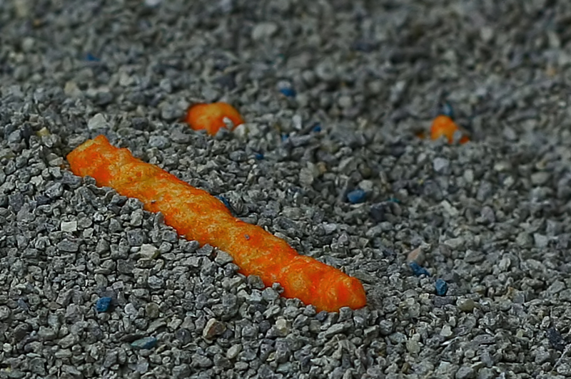 Cheeto Chit