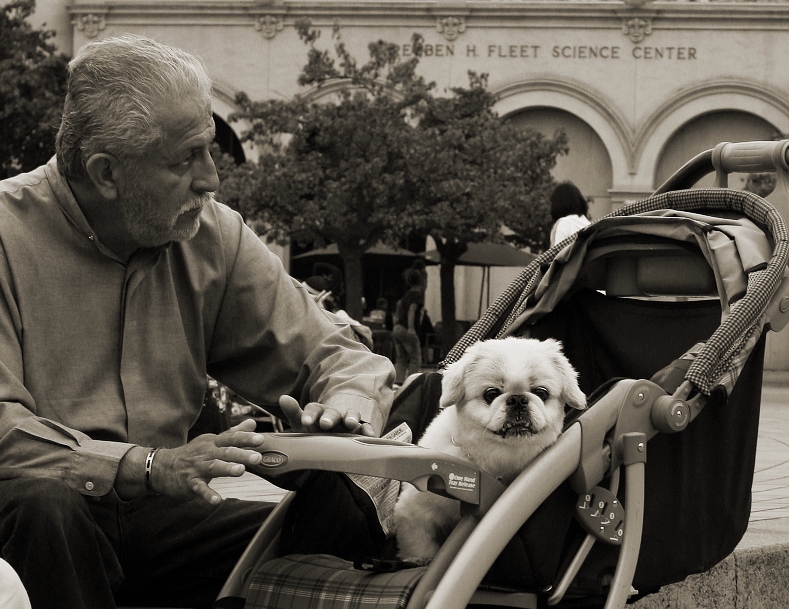 A Dog in a Baby Stroller, a Man Drumming, and the Reuben H. Fleet Science Center.  Ok.  Whatever.