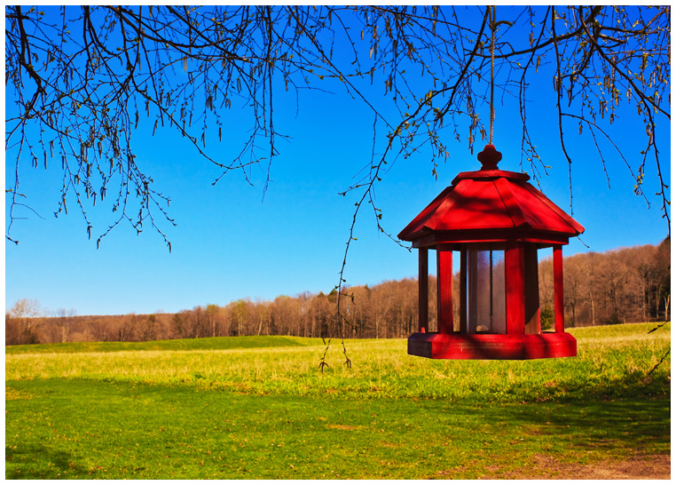 Bird Feeder or Gazebo?