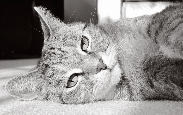 Exhausted