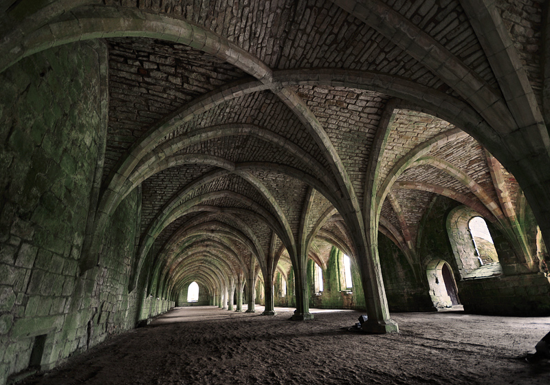 Vaulted Ceilings