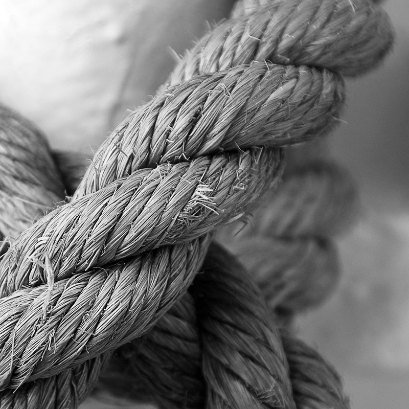 Knot!