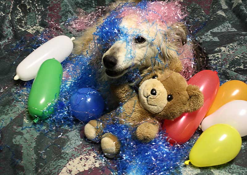 Balloon Heyday