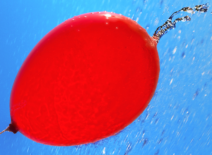 "Water Balloon"