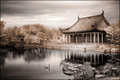 A Peaceful Place