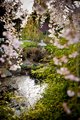 Secret Garden