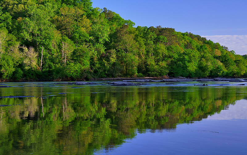 Earth Day Zen