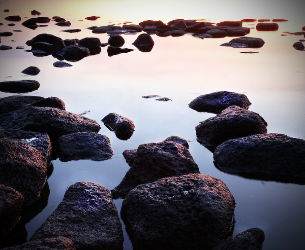 Floating rock garden