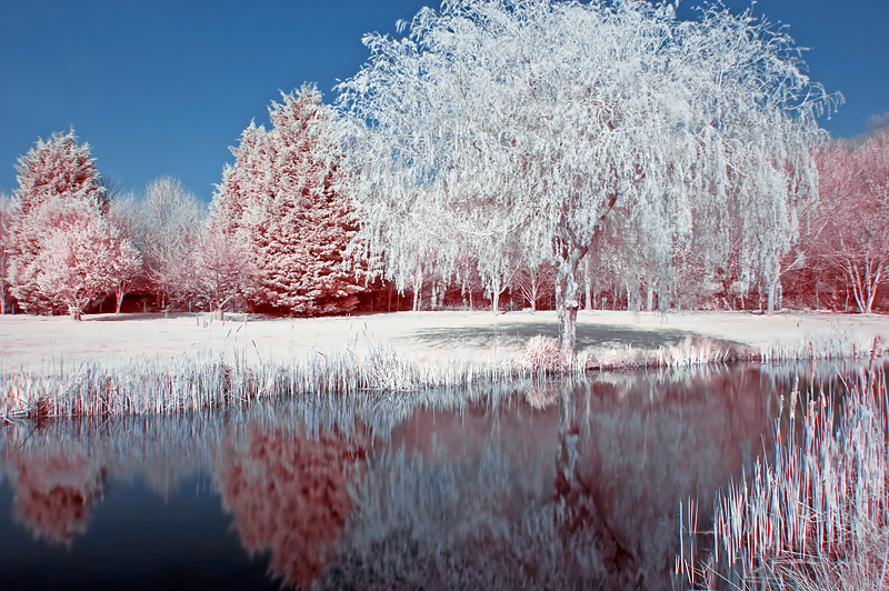 Lake Tranquility