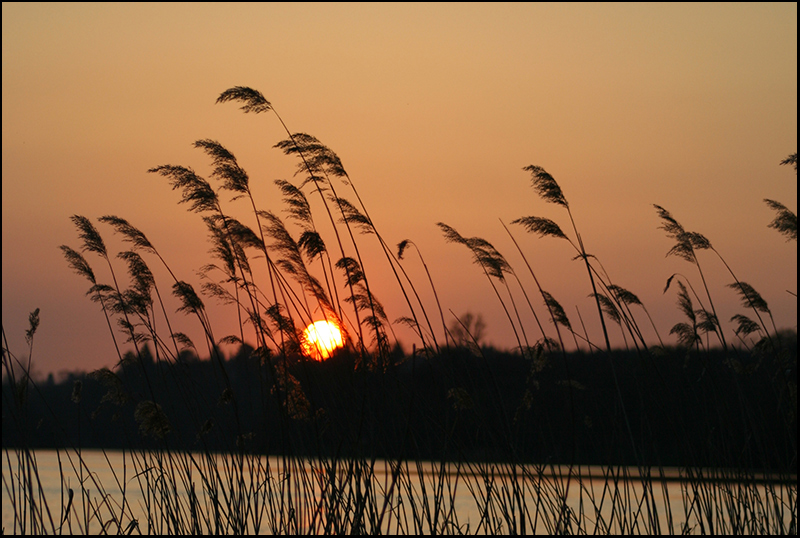 Tranquility