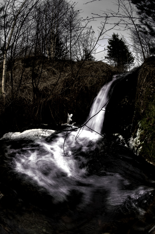Nordic Spring