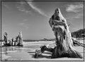 Beachcombing