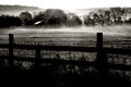 Misty Country Morning