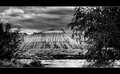 Mt. Garfield's Window