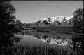 Pond Reflection