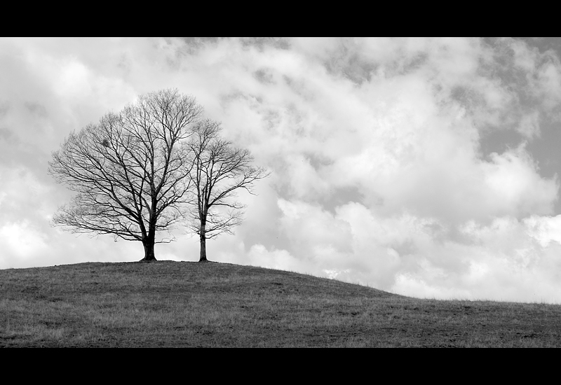 The Hill