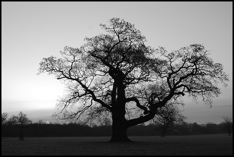 Early One Morning