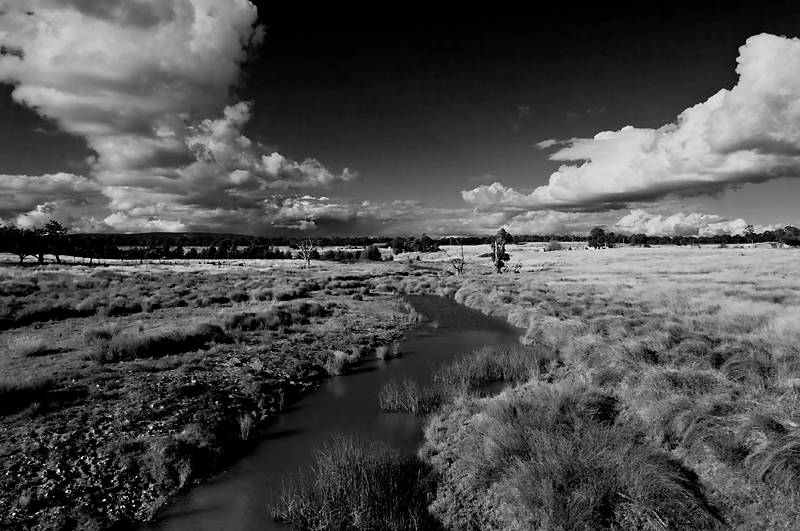 A Creek To Follow