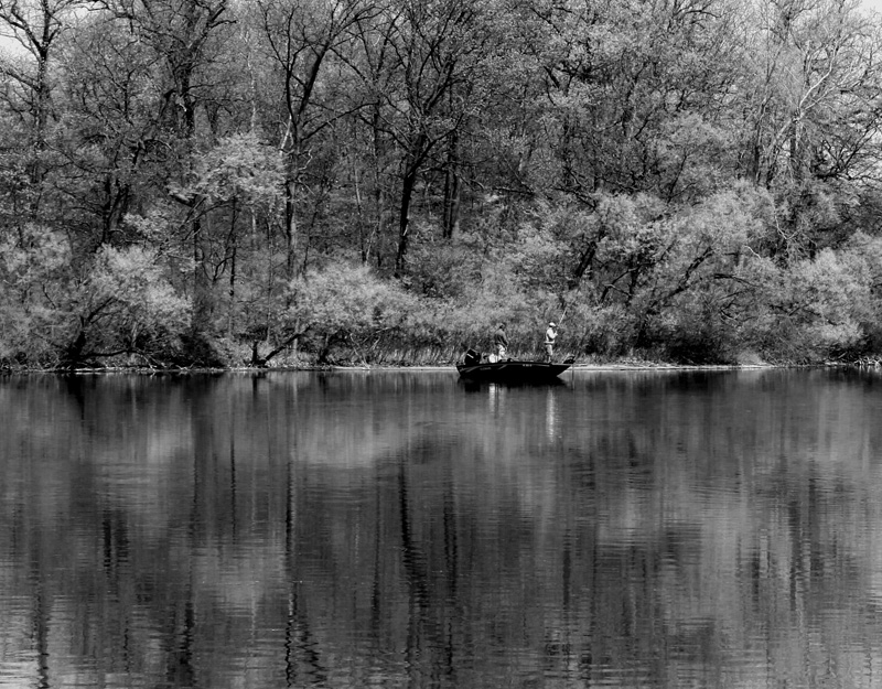 Spring at Kensington