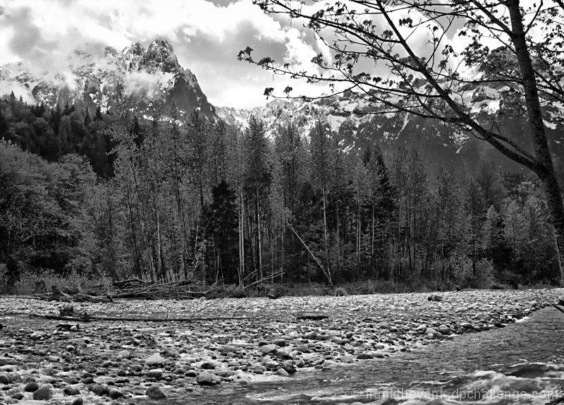 Along the Skykomish