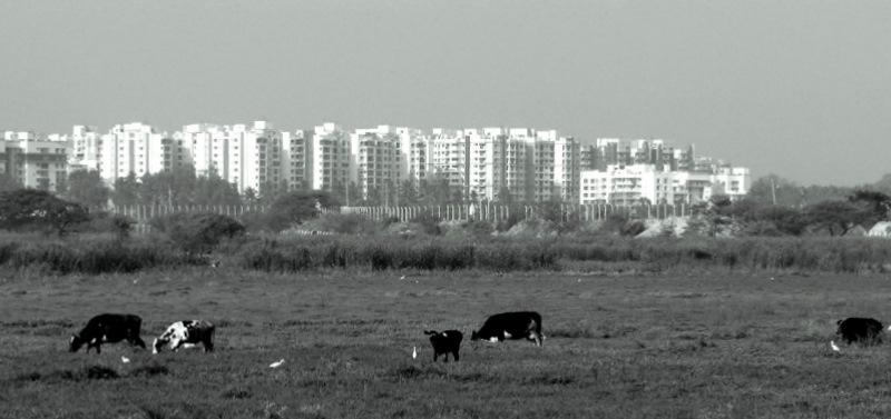 landscape of rural turning into urban