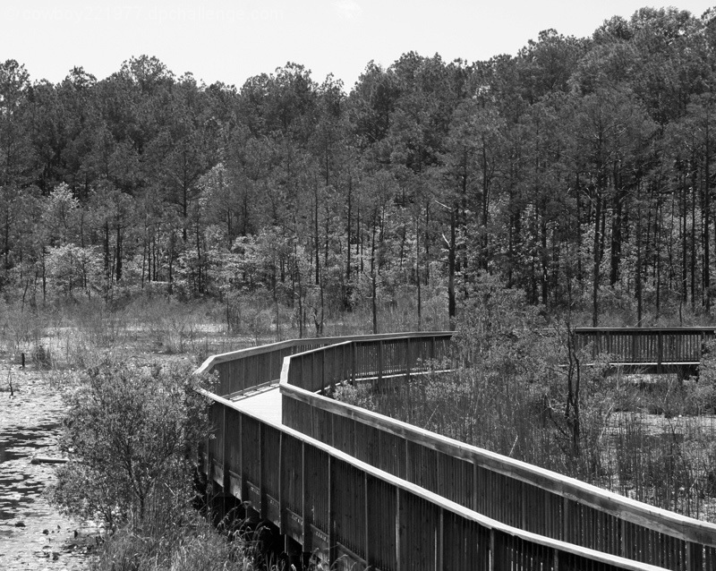 Restoration Park