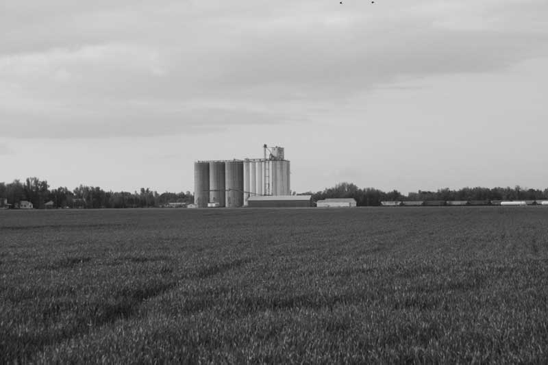 Peaceful Rural Town Landscape