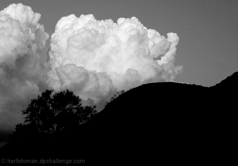 You can go play on the ridge, says mother tree, but remeber, don't upset thunder!